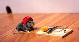 mouse-trap.jpg