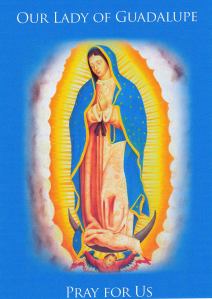 Our Lady of Guadalupe11